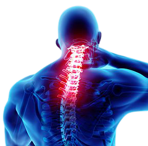 spine paralysis treatment in gwalior