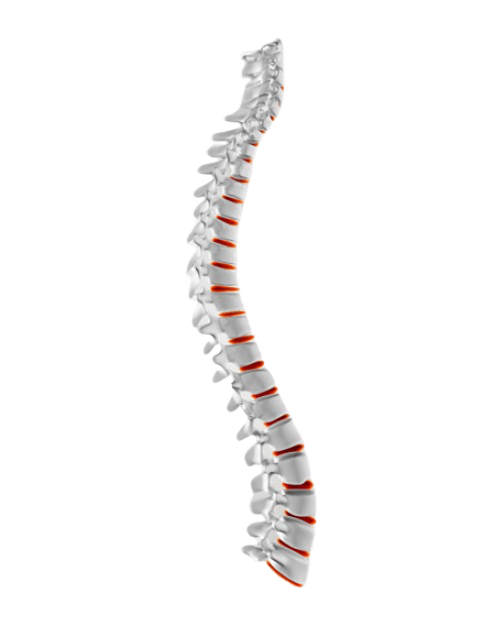 Cervical Pain Treatment In Gwalior