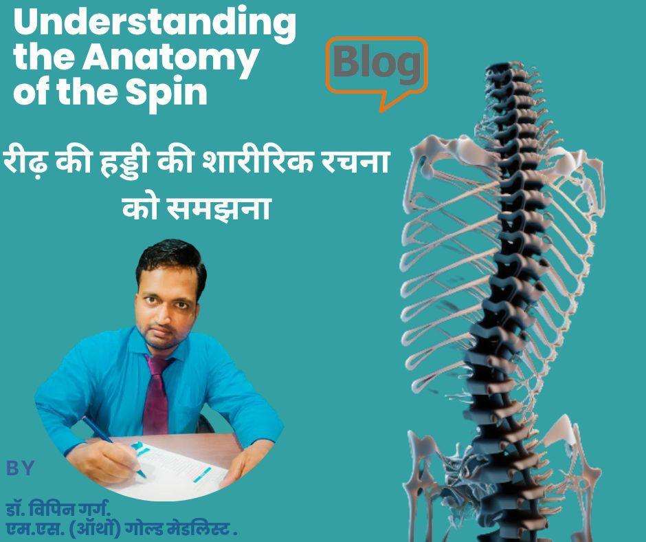 Understanding the Anatomy of the Spin